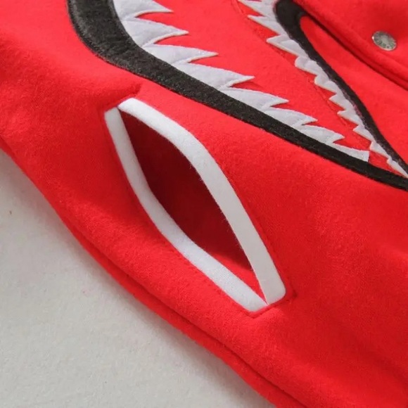 varsity jacket - Picture 4 of 4